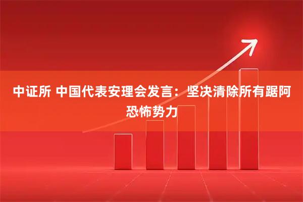 中证所 中国代表安理会发言:坚决清除所有踞阿恐怖势力
