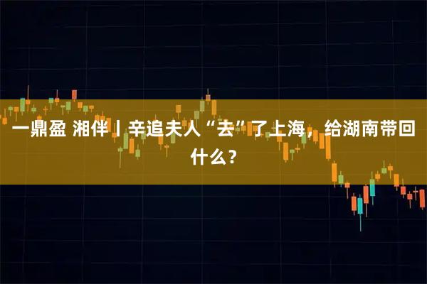 一鼎盈 湘伴丨辛追夫人“去”了上海，给湖南带回什么？