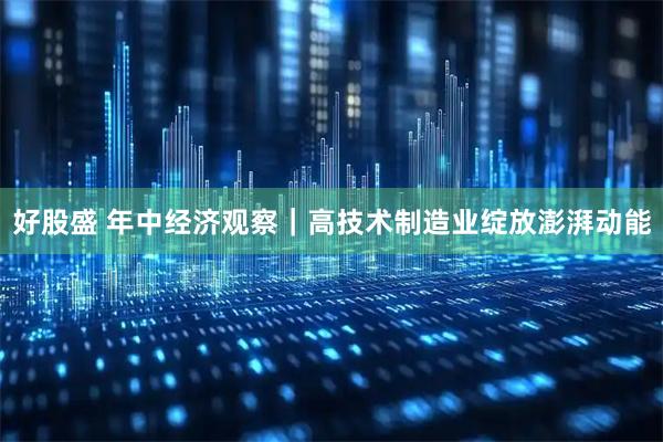 好股盛 年中经济观察｜高技术制造业绽放澎湃动能